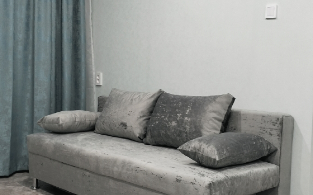 1k Volodarskogo 15 Tsentr Flat