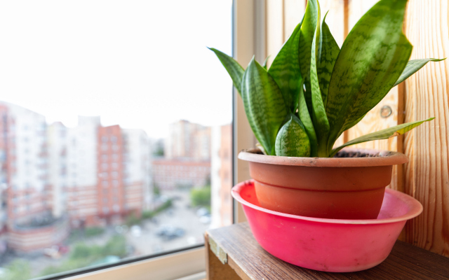 Апартаменты ПроСвет