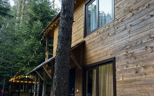 Triumf Guest house