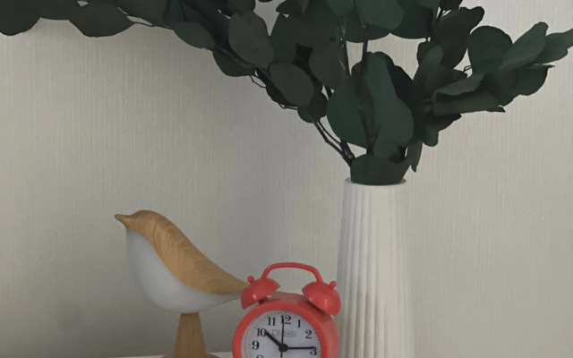 Квартира возле ЭКСПО МТС Live холла и аэропорта