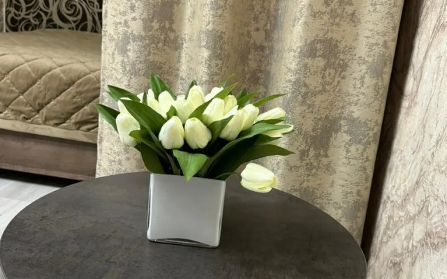 Квартира на Улице Красной 67