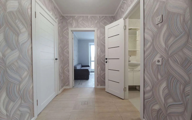 Na Radischeva  Flat