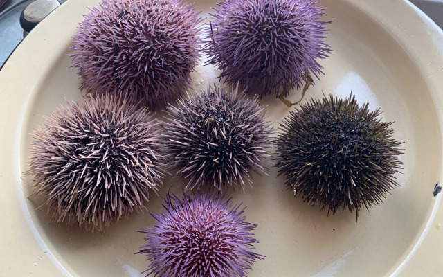 Квартира Студия с Видом на Горы 28