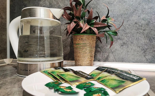 V Tsentralnom Sochi s Bolshoy Lodzhiey Flat