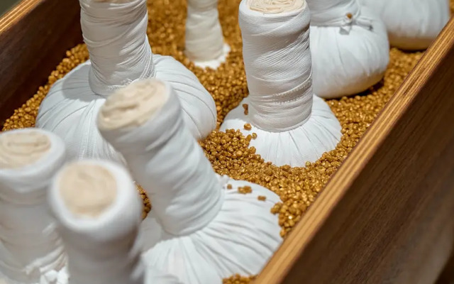 Игора. Времена года Отель