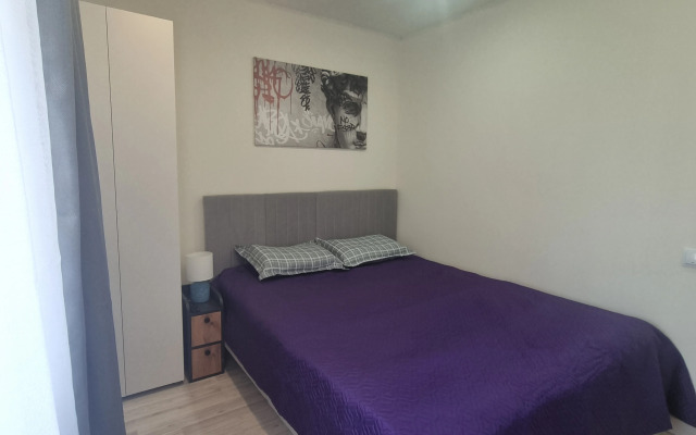 Квартира Евродвушка в центре Кисловодска