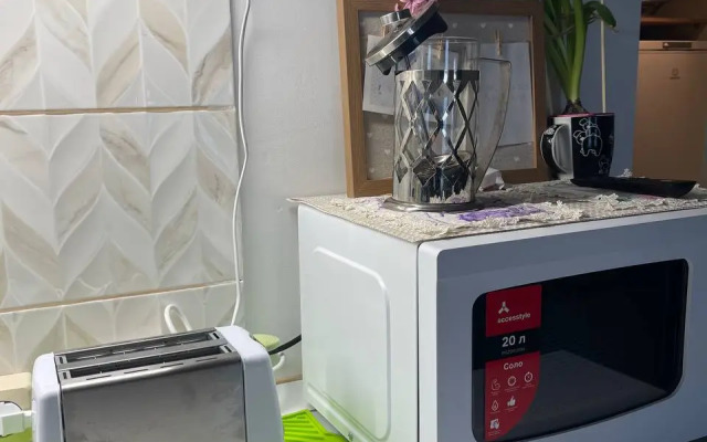 Квартира с видом на мост и реку Обь