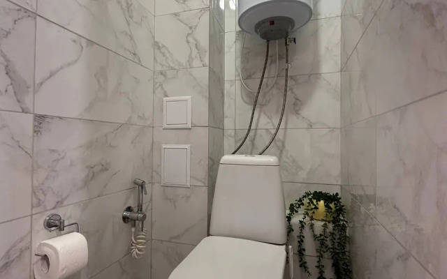 Квартира 3х-комнатная в Академе