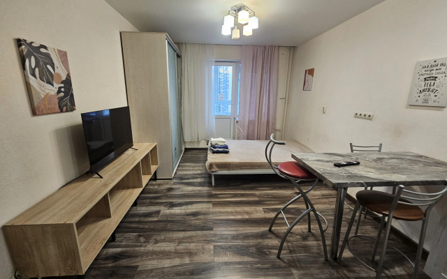 Studiya Na Aviatorov Baltiki Apartments
