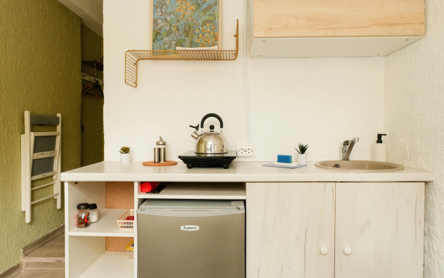 Апартаменты Full House у Алмазова-1