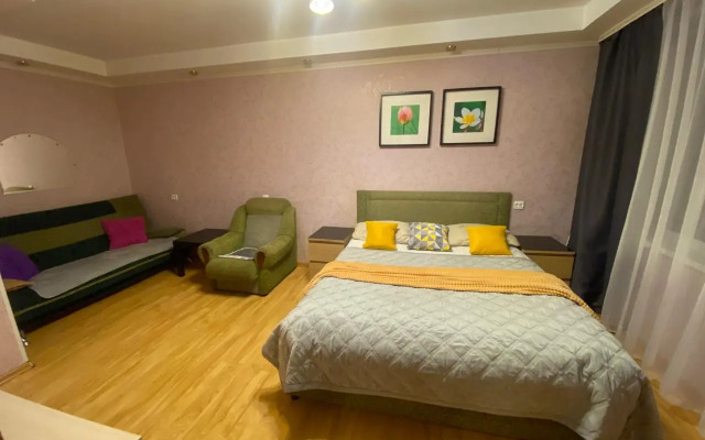 Апартаменты с 1 комнатой с красивым видом на город (КВАРТИРА51)