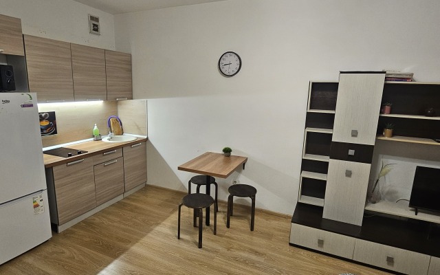 Studiya Na Shuvalova 5 Flat
