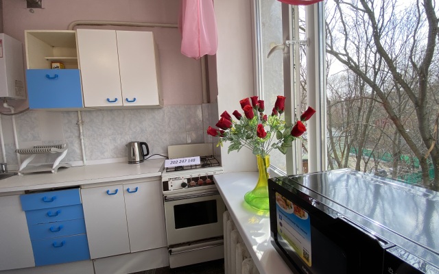 Dvushka na Minskoy Flat