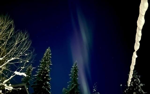 Отель Лапланидия