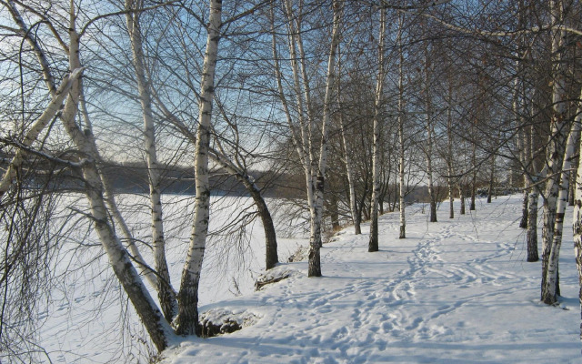 Holiday House Slobodka 74