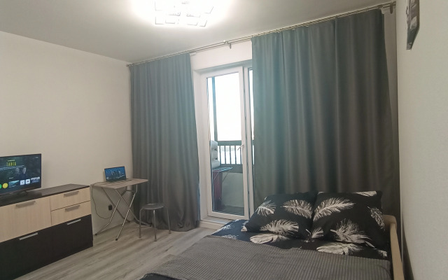Studiya Pervaya Na Neve V Gorode Pervykh Flat