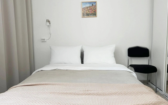 2-Komnatnaya U Moskovskogo Vokzala Flat