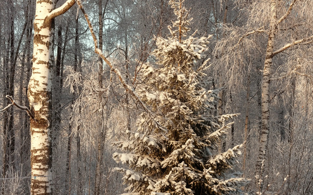 Коттеджный Комплекс Озерный Берег