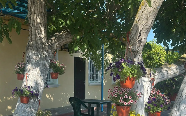 Гостевой дом Морская сказка