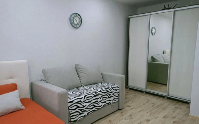 Апартаменты Наговицына 6