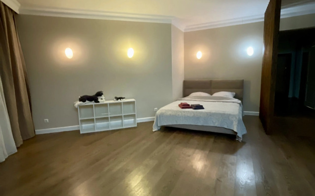 Квартира просторная 2ка с камином рядом с сибэкспоцентром