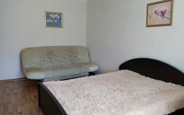 Na Prospekte Lenina 63 Apartaments