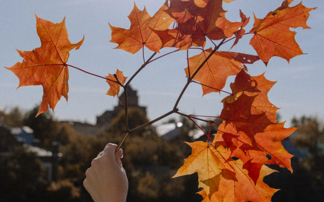 Отель 40-й Меридиан Яхт-клуб