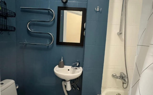 Квартира в центре Петроградки