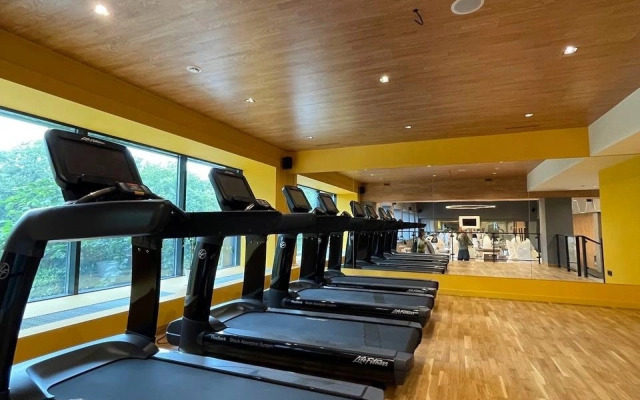 ibis Styles Chelyabinsk Hotel