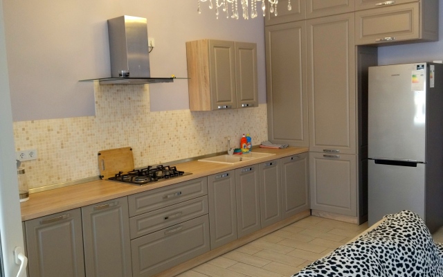 Zhemchuzhina na Gagarina 2 Apartments