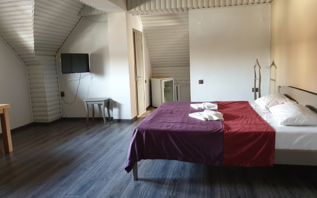 Staryij Zamok Hotel