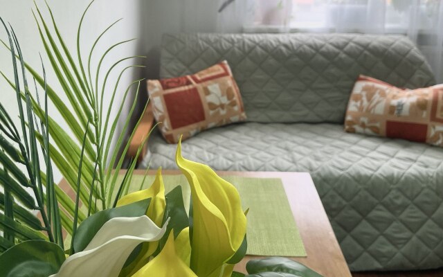 Tutuyutno Na Volotovskoy Nezhny Iris Flat