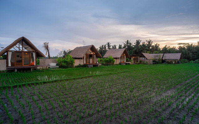 Pondok Mawas Hotel