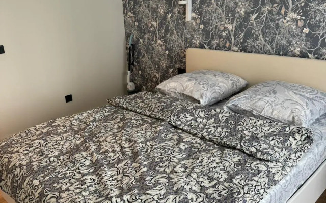 Yevrodvushka Ryadom S Tsentrom i Rechnym Portom Apartments