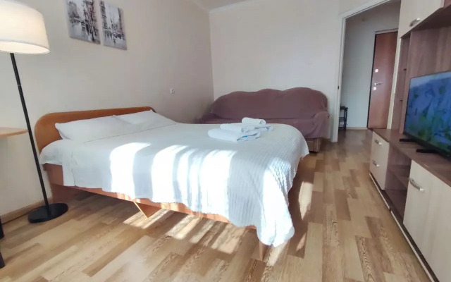 V Tsentre Svetlaya Uyutnaya Ryadom S Parkom Flat
