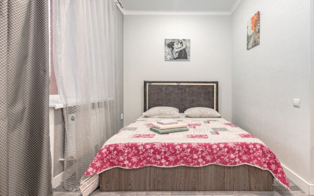 Odnokomnatnaya V tsentre Flat