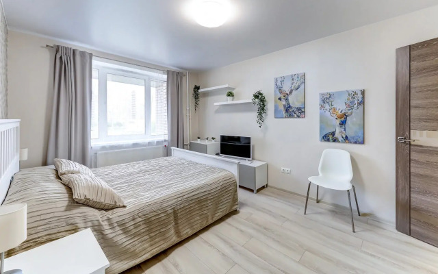 Апартаменты Паруса на Комендантской