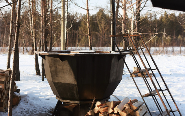 Частный дом Лес Мини 2