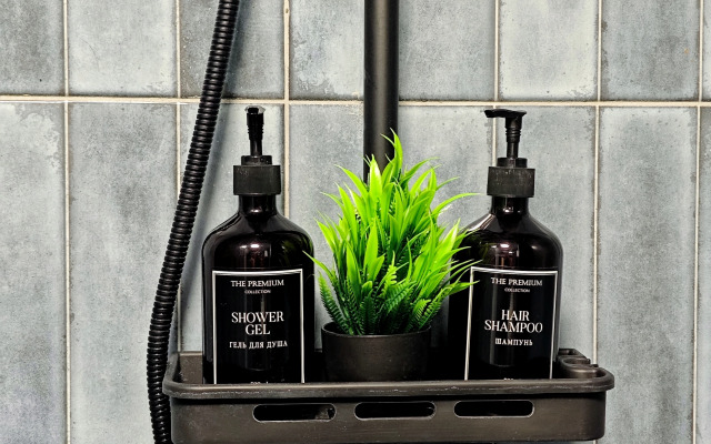 Частный дом Aframe