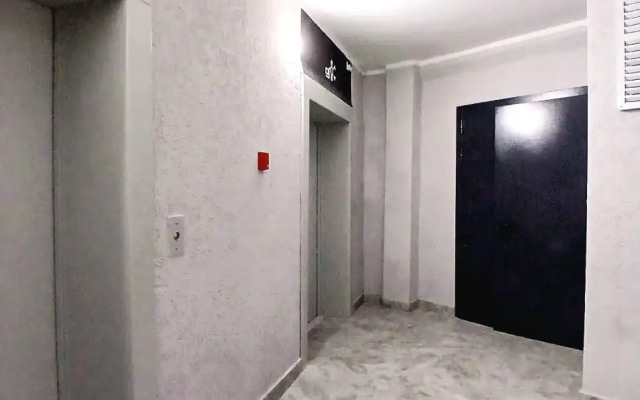 V Tsentre S Shikarnym Vidom Apartments