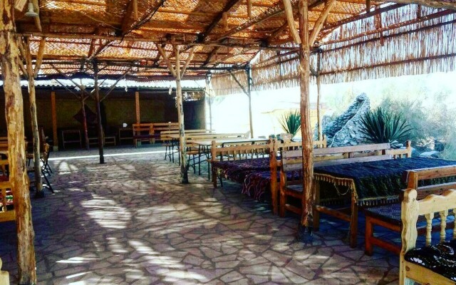 Yurt Camp Aidar Camping