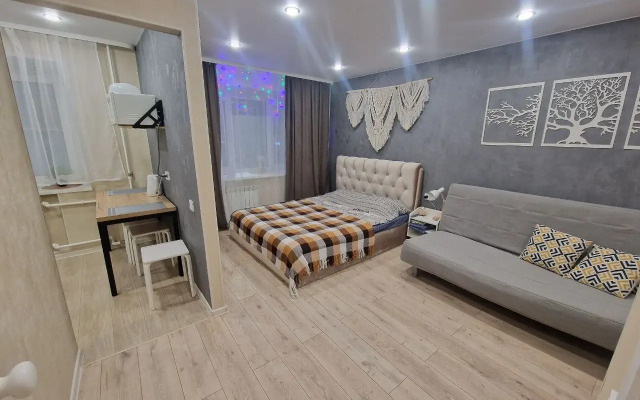 Апартаменты Ленина 9