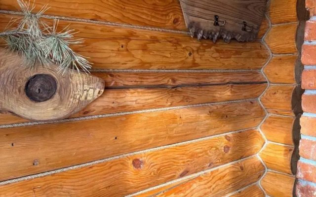 Recreation camp Sinegorye