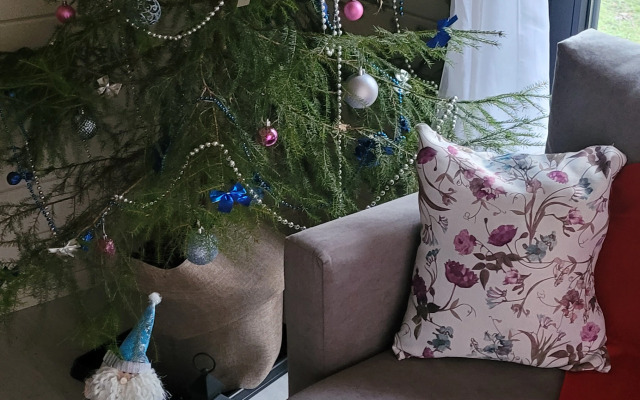 Частный дом Коттедж Аскелма-Ольха