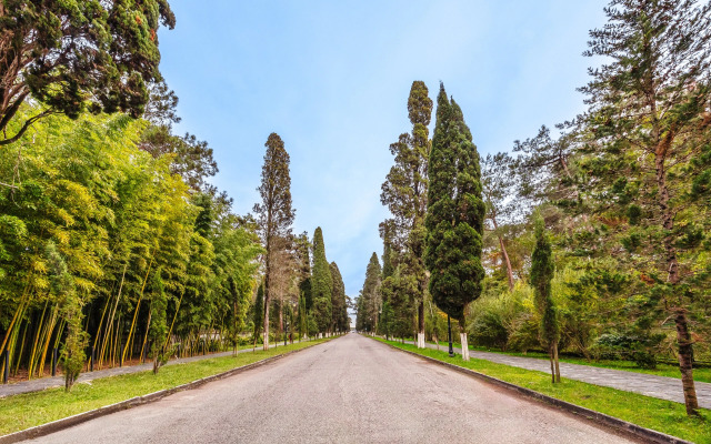 Hotel Eco House Pitiunt Resort