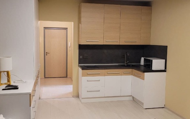 Apartments Uyutnaya Studiya Na Vasilevskom Ostrove 30 Kv. M.