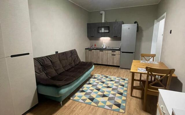 Апартаменты Двухкомнатные на Олимпийской 87