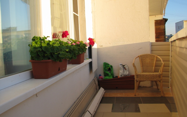 Aleksandr Apartments