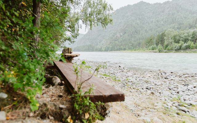 Гостевой дом АЛТАЙ БЕРЕГ ИП Рожнова Л.В.