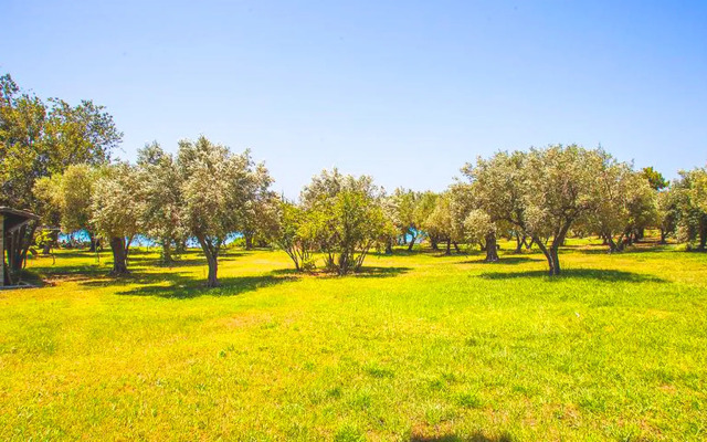 Malt BeachFront Villa